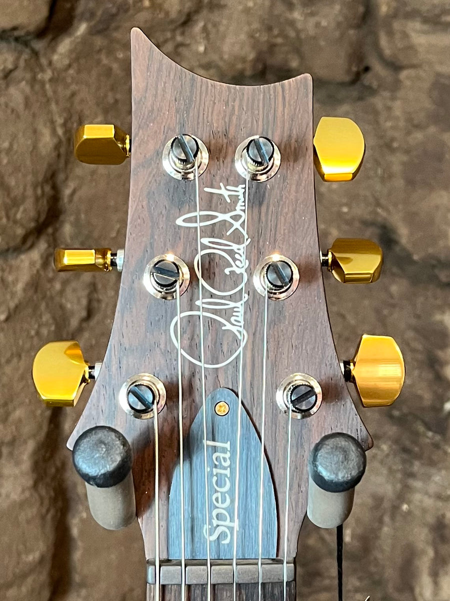 PRS Special Semi-Hollow with Rosewood Neck and Brazilian Rosewood