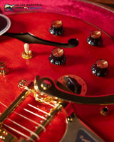 Epiphone – Back to the Future ES-345, Cherry Red (New)