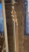 PRS Private Stock 40th Anniversary McCarty Dragon (New)