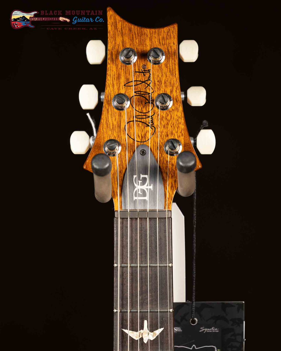 PRS Artist Grade Top DGT Semi-Hollow Limited-Edition - Custom