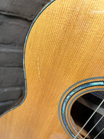 Larrivee C-10 Brazilian Rosewood (Used)