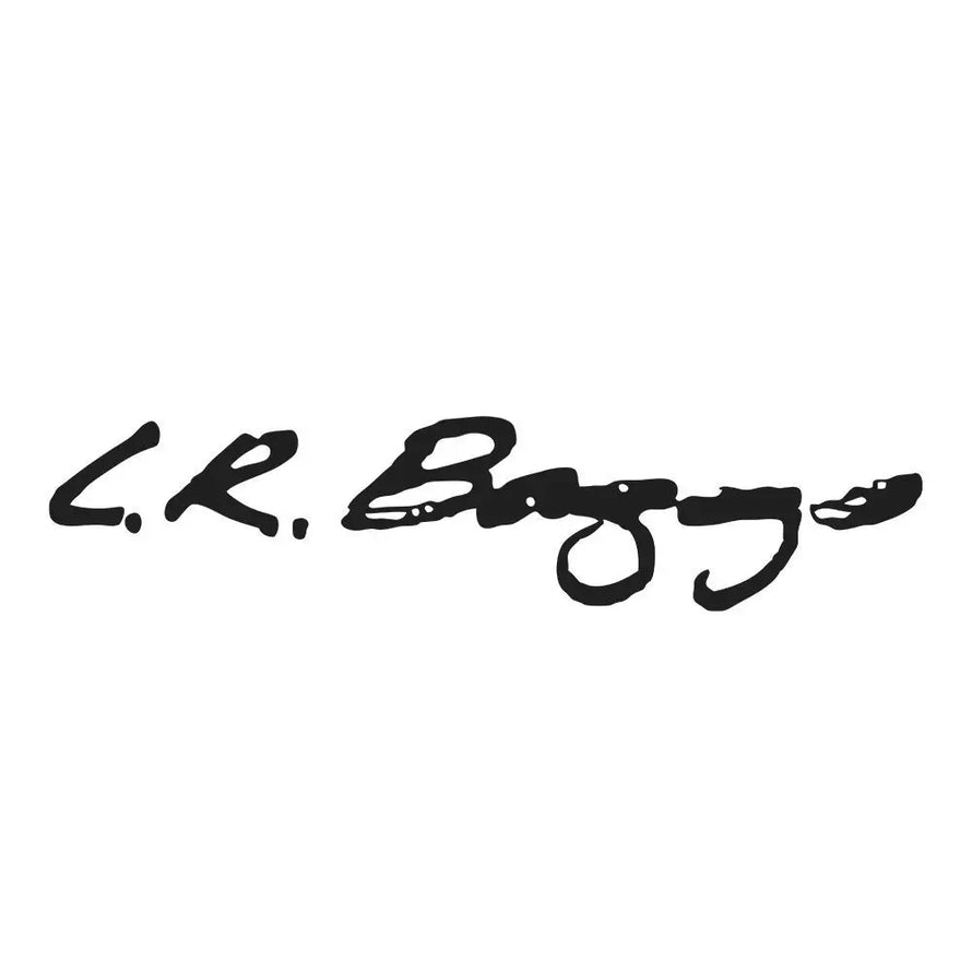L.R. Baggs Pickups