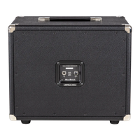 
              Mesa/Boogie Boogie 1x12 Vintage Thiele Cabinet, Wicker Grille (New)
            