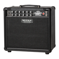 
              Mesa/Boogie Badlander 25 1x12 Combo, Black Bronco (New)
            
