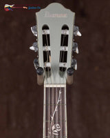 
              Ibanez TOD10NSMF Tim Henson - Silver Metallic Flat (New)
            