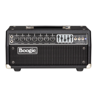
              Mesa/Boogie Mark IIC+ Head
            