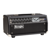 
              Mesa/Boogie Mark IIC+ Head
            