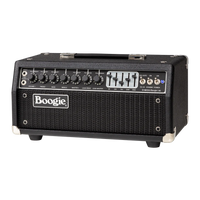 
              Mesa/Boogie Mark IIC+ Head
            