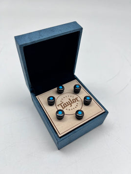 Taylor Water Buffalo Bone Bridge Pins - Brown with Turquoise Inlays