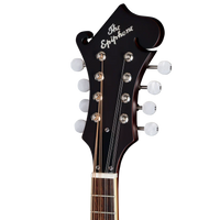 
              Epiphone F-5 Studio, Vintage Sunburst Satin (New)
            