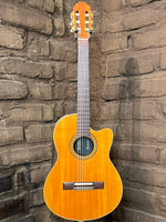 
              Gibson Chet Atkins Custom Shop CE Nylon
            