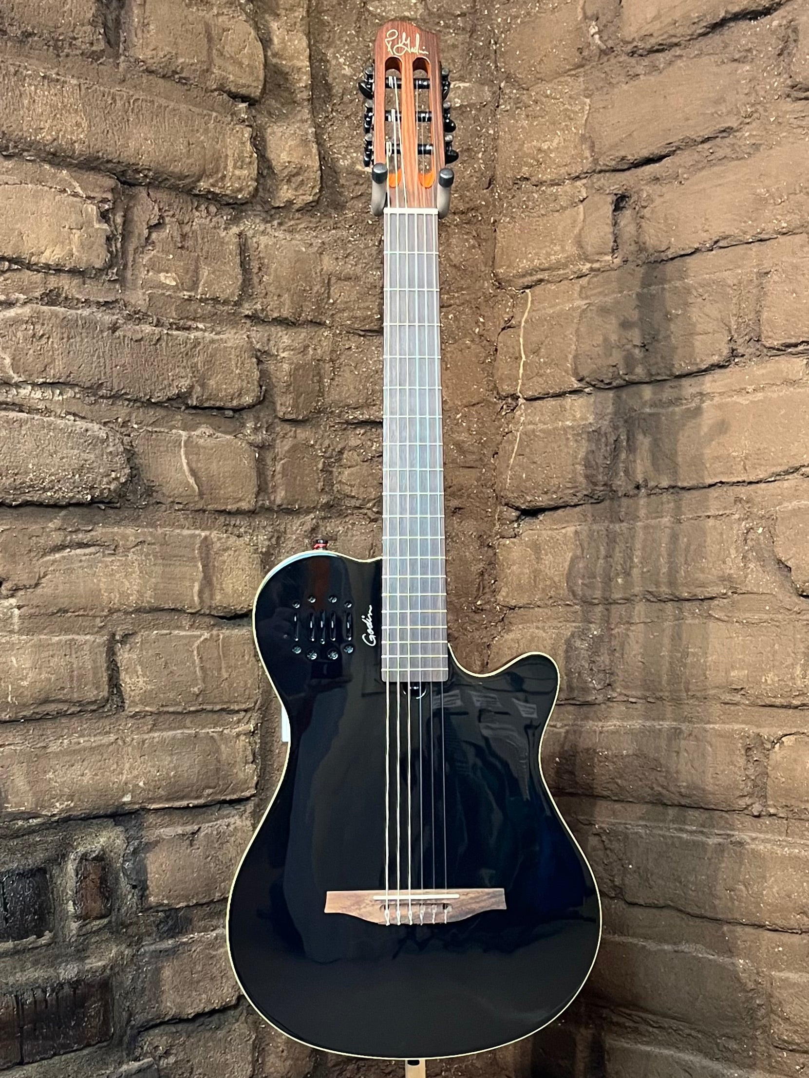 Godin multiac duet sale