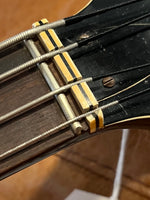 
              Hofner Violin Bass (1963)
            