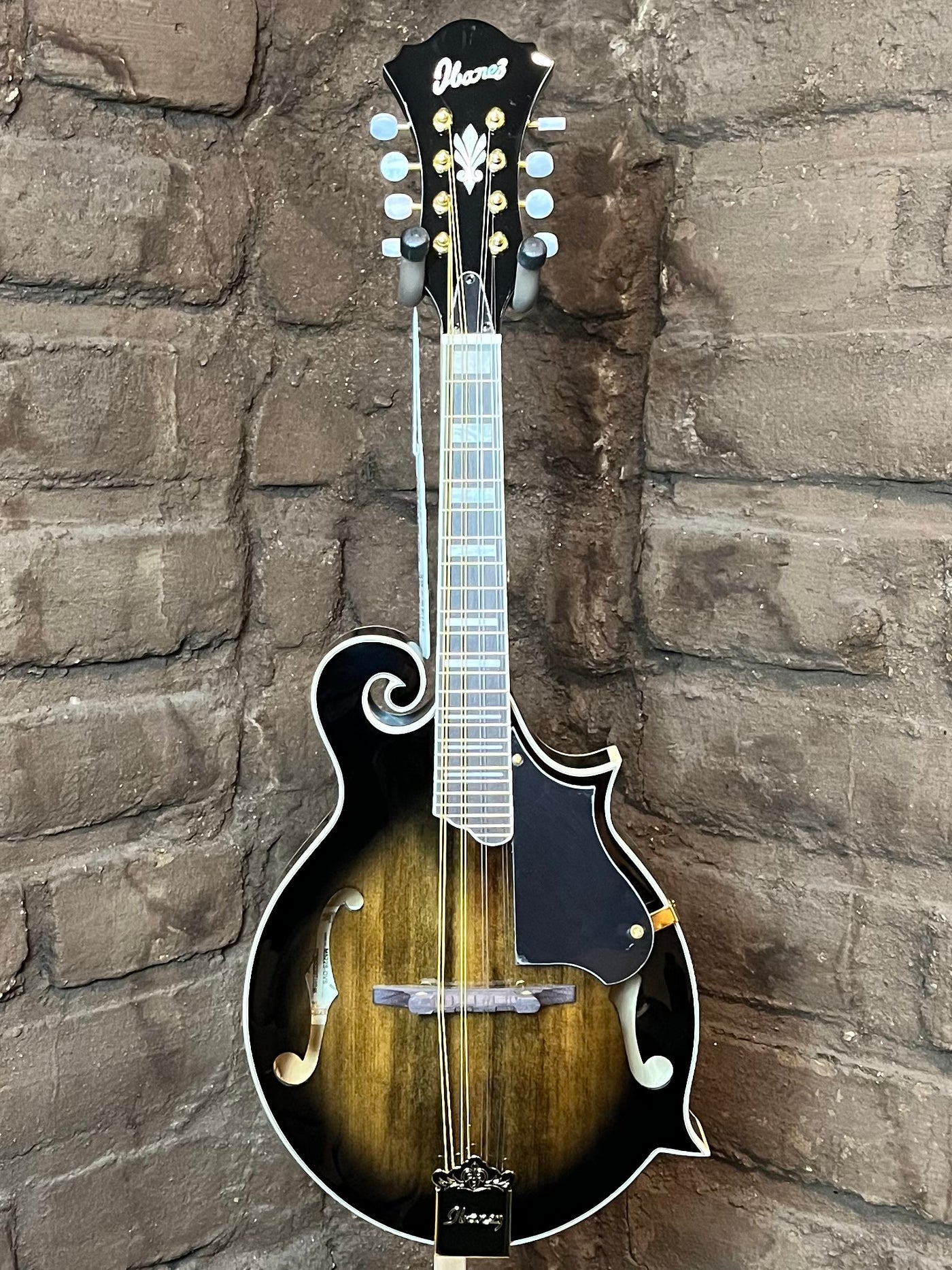 Banjos & Mandolins| Black Mountain Guitar Co