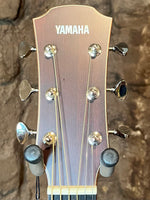 
              Yamaha AC5M (New)
            