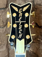 
              Gretsch G6134TG Limited Edition Paisley Penguin
            