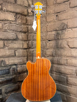
              Fender FA-450CE Bass 3-Color Sunburst (New)
            