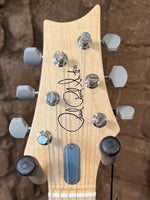 
              PRS Silver Sky Frost (New)
            
