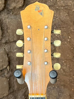 
              National Triolian Tri-Cone Mandolin
            