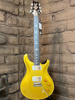 
              PRS DGT Gold Top with Birds (New)
            