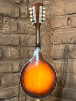 
              Gibson A-50 Mandolin
            