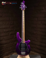 
              Ernie Ball Music Man Bongo Artist Series John Myung 4.,/ - Purple (New)
            