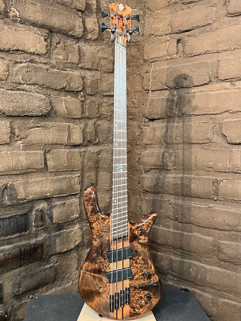 Spector NS Dimension 4 Bass Guitar - Super Faded Black Gloss (Used
