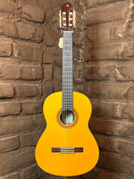 
              Yamaha CG-TA TransAcoustic Nylon (New)
            