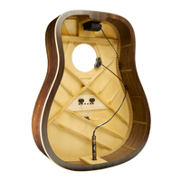 
              L..R Baggs HiFi DNA Advanced Bridge Plate Pickup System (New)
            