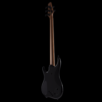 
              Dingwall Guitars Z3 - Polyurethane - Natural to Blackburst New)
            