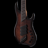 
              Dingwall Guitars Z3 - Polyurethane - Natural to Blackburst New)
            