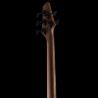 
              Dingwall Guitars Z3 - Polyurethane - Natural to Blackburst New)
            