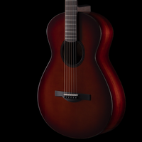 
              Dion Guitars No. 05 - Italian Spruce w/ Honduran Mahogany Neck (New)
            
