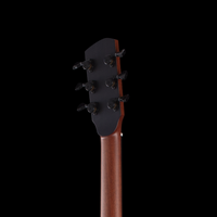 
              Guitares Julien Sublet TS1 - Violet Matte Polyurethane
            