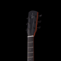 
              Guitares Julien Sublet TS1 - Violet Matte Polyurethane
            