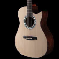 
              Hozen Guitars Blue Label #343 - Swiss Moon Spruce Ultra-Thin Poly
            
