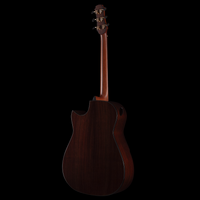 
              Hozen Guitars Gold Label Mod-D - Swiss Moon Spruce Ultra-Thin Poly
            
