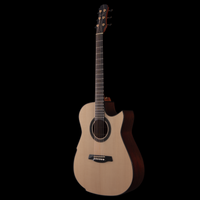 
              Hozen Guitars Gold Label Mod-D - Swiss Moon Spruce Ultra-Thin Poly
            