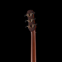 
              Hozen Guitars Gold Label Mod-D - Swiss Moon Spruce Ultra-Thin Poly
            