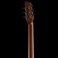 
              Island Instruments DelAir - Engleman Spruce/ Nomex
            