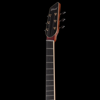 
              Island Instruments DelAir - Engleman Spruce/ Nomex
            