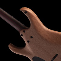 
              Mayones Guitars Duvell Elite 6, EyePoplar 4A - Purple Iris Gloss Top/ Matte Natural Back
            