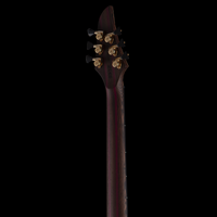 
              Mayones Guitars Duvell Elite 6, EyePoplar 4A - Purple Iris Gloss Top/ Matte Natural Back
            