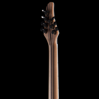 
              Mayones Guitars Regius Core 7 / 26.5, Curly Poplar 5A -
            