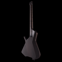 
              Padalka Guitars Axion Community Build - Spalted Maple Satin
            