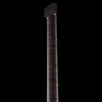 
              Padalka Guitars Axion Community Build - Spalted Maple Satin
            