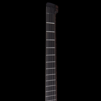 
              Padalka Guitars Axion Community Build - Spalted Maple Satin
            