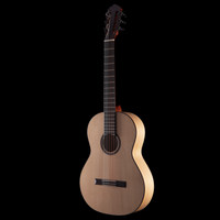 
              R Robinson Guitars Flamenco - German Spruce Oil Varnish
            