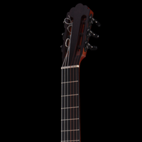 
              R Robinson Guitars Flamenco - German Spruce Oil Varnish
            