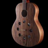 
              R Robinson Guitars GUS Resonator - Florida Sinker Cypress Oil Varnish
            
